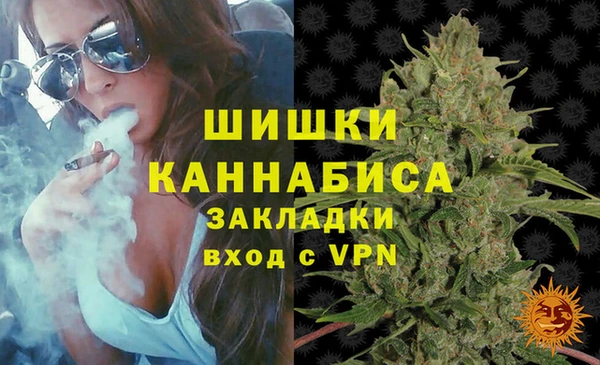винт Гусев