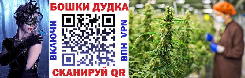 Купить  Томск  Марихуана Amnesia 